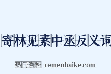 寄林见素中丞反义词是什么意思的图片